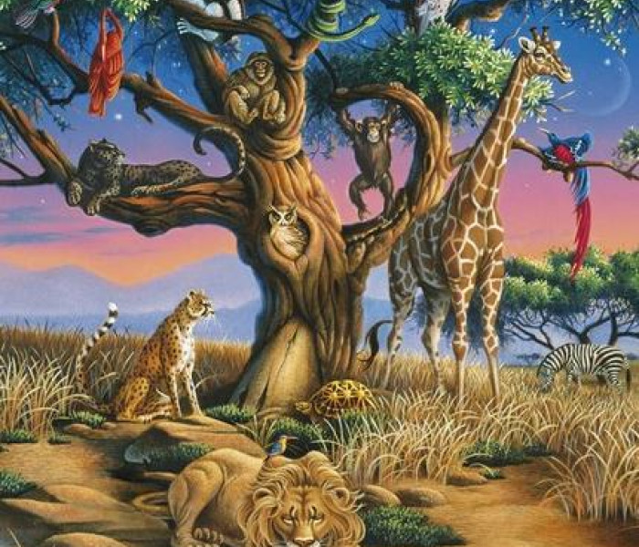 Puzzle - Clementoni - Natura selvaggia in Africa