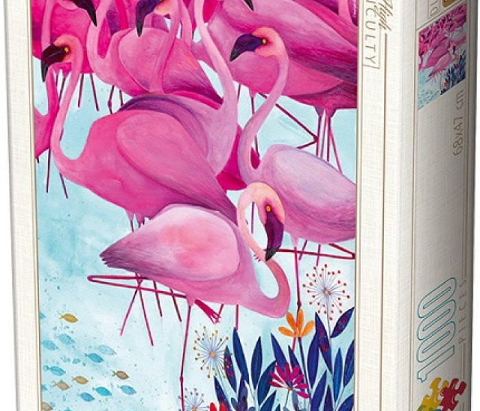 Puzzle - D-toys - Fenicotteri