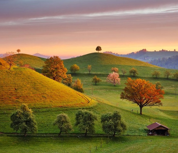 Puzzle - Dino - Alba da favola