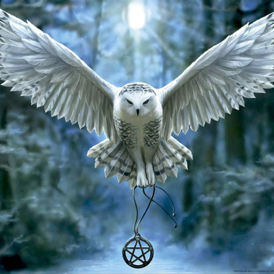 Risveglia la tua magia