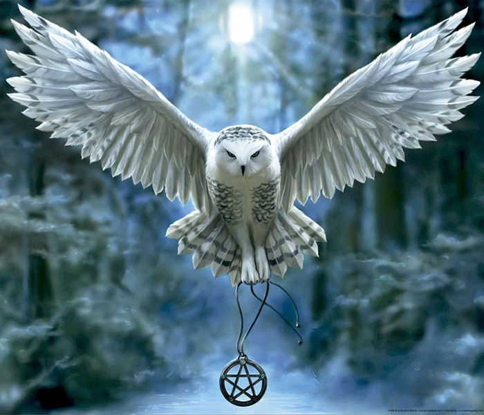 Puzzle - Educa - Risveglia la tua magia