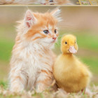 Puzzle - Educa - Adorabili amici