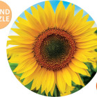Puzzle - Educa - Girasoli - Puzzle rotondo