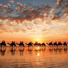 Puzzle - Educa - Tramonto dorato