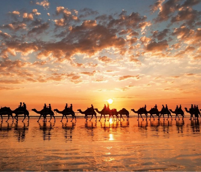 Puzzle - Educa - Tramonto dorato