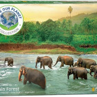 Puzzle - Eurographics - Elefanti nell acqua