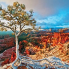 Puzzle - Eurographics - Alba sul Grand Canyon