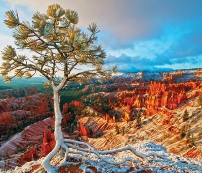 Puzzle - Eurographics - Alba sul Grand Canyon