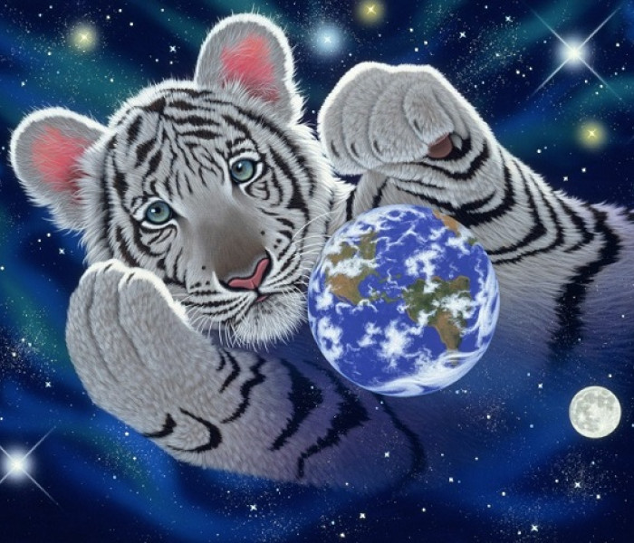 Puzzle - Grafika - Il nostro pianeta