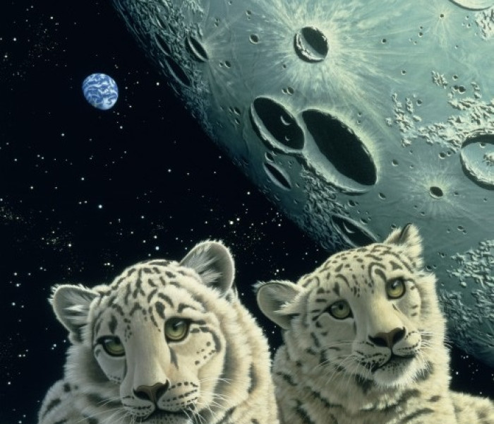 Puzzle - Grafika - leopardi delle nevi