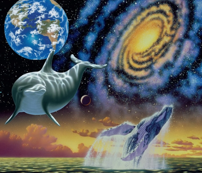 Puzzle - Grafika - Oceano spaziale