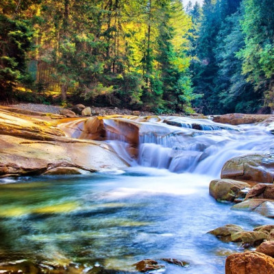 Cascata nella foresta