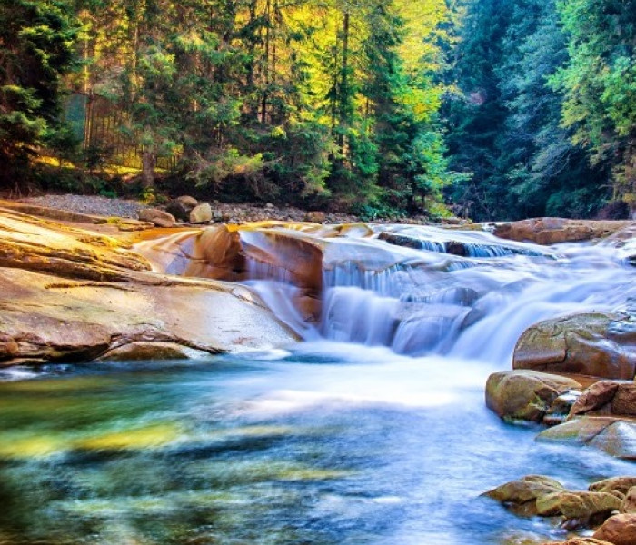 Puzzle - Grafika - Cascata nella foresta