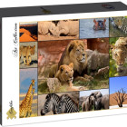 Puzzle - Grafika - Animali dell Africa