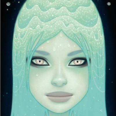 Cascata di cristallo - Puzzle Panoramico