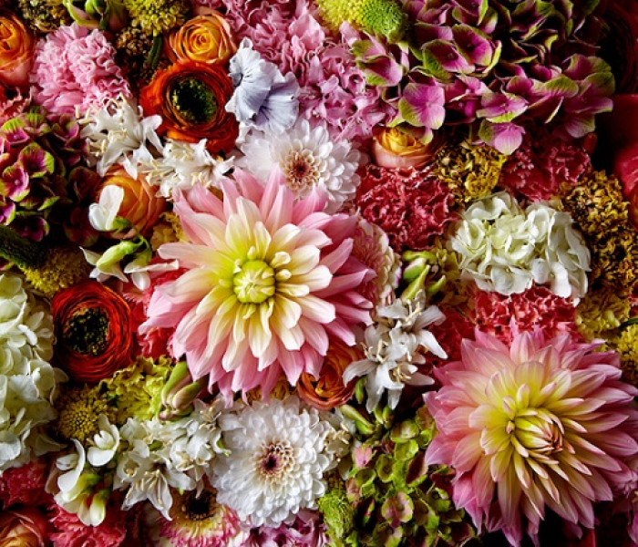 Puzzle - Heye - Puszysta dalia