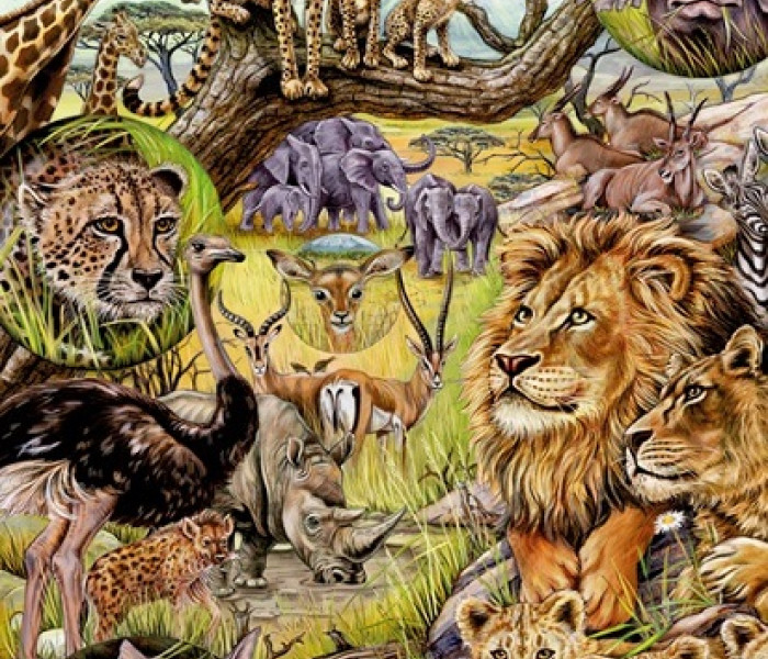 Puzzle - Heye - Savana