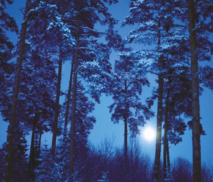 Puzzle - Heye - Luna piena