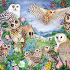 Puzzle - Falcon - Gufi