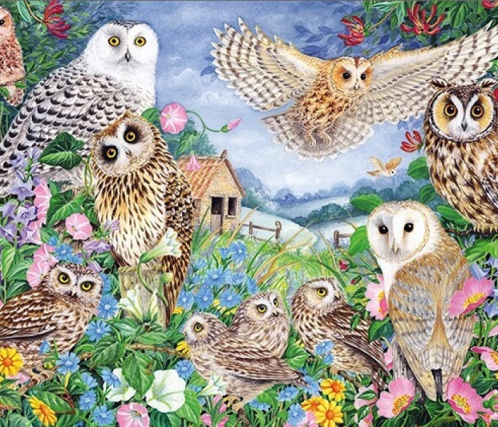 Puzzle - Falcon - Gufi