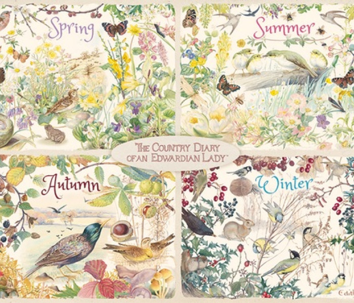 Puzzle - Falcon - Quattro stagioni