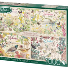 Puzzle - Falcon - Quattro stagioni