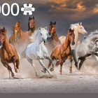 Puzzle - Jumbo - Cavalli in libertà