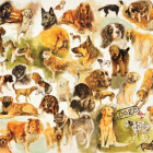 Puzzle - Jumbo - Poster con i cani