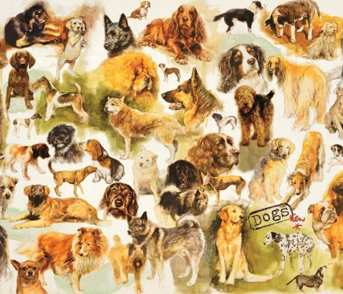 Puzzle - Jumbo - Poster con i cani