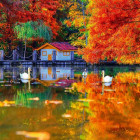 Puzzle - King - Casa piccola sul lago