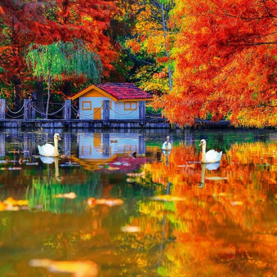 Casa piccola sul lago