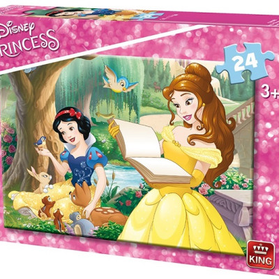 Principessa che legge