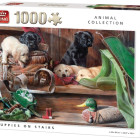 Puzzle - King - Cuccioli sulle scale