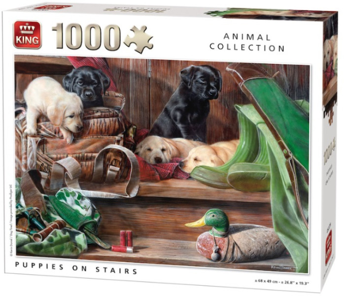 Puzzle - King - Cuccioli sulle scale