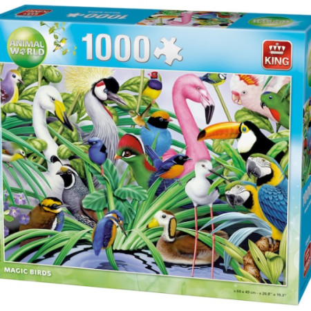 Uccelli meravigliosi