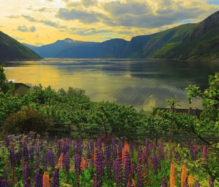 Puzzle - Ravensburger - Fiordo in Norvegia