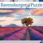 Puzzle - Ravensburger - Campo di lavanda