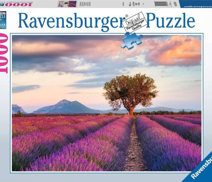 Puzzle - Ravensburger - Campo di lavanda