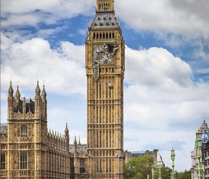 Puzzle - Ravensburger - Gatto sul Big Ben