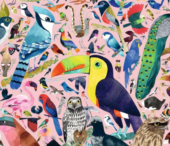 Puzzle - Ravensburger - Uccelli fantastici