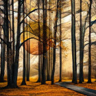 Puzzle - Schmidt - Foresta magica