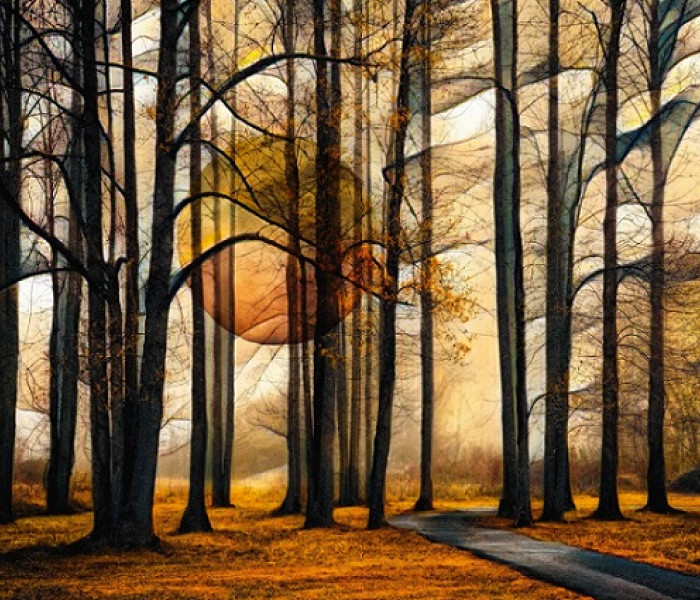 Puzzle - Schmidt - Foresta magica