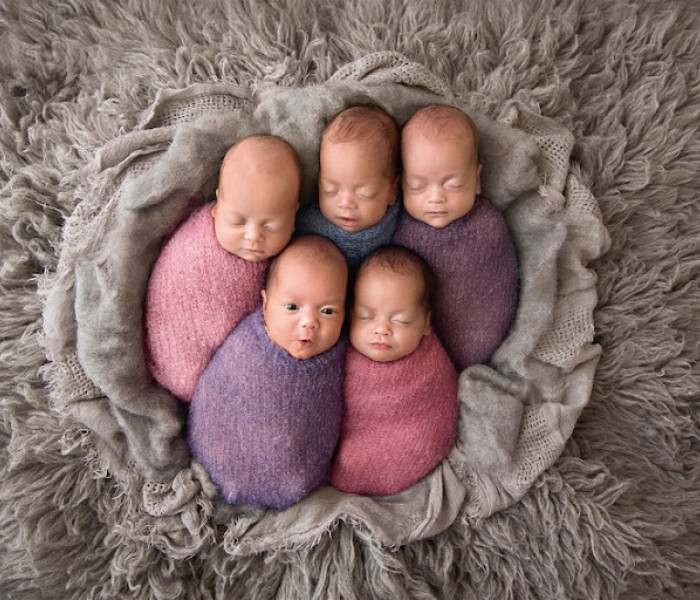 Puzzle - Schmidt - Cinque bimbi