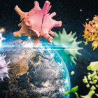 Puzzle - Schmidt - Pianeta Terra 2020