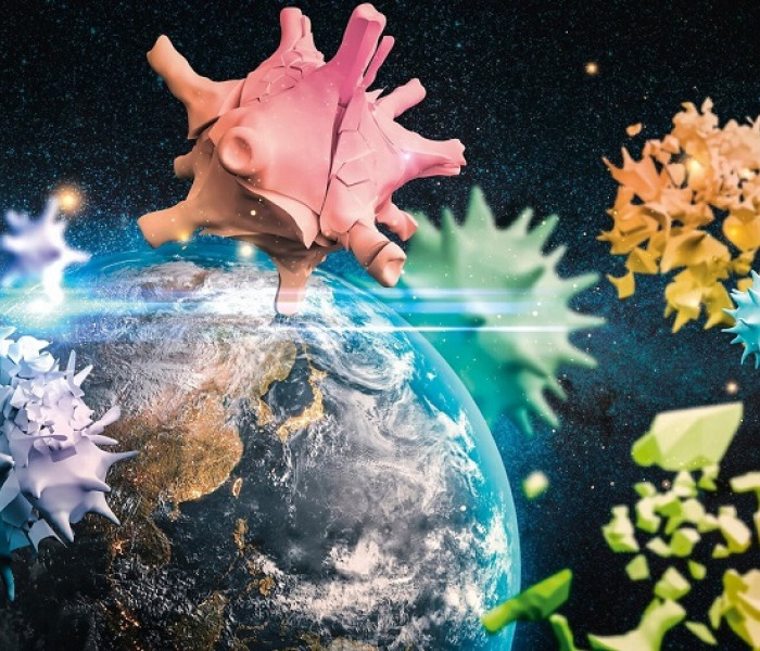 Puzzle - Schmidt - Pianeta Terra 2020