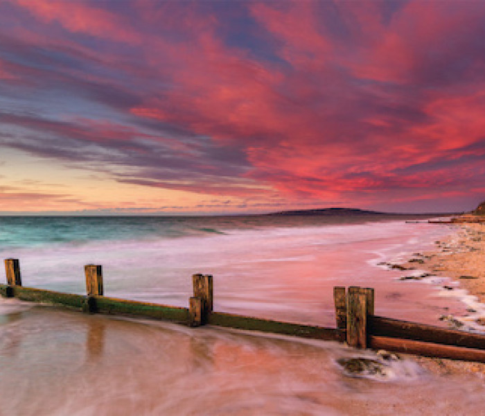 Puzzle - Schmidt - Spiaggia McCrae, Australia - Puzzle Panoramico