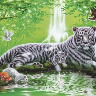 Cascata - Puzzle Panoramico