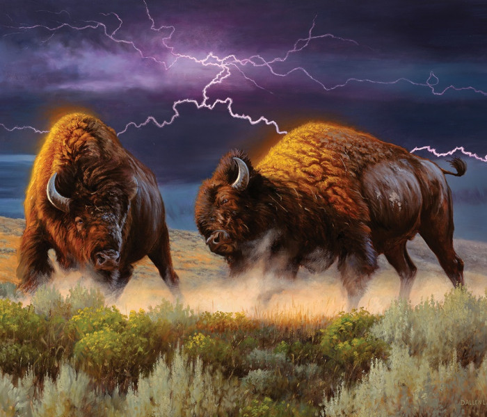 Puzzle - Sunsout - Bisonte