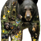 Puzzle - Sunsout - Orso