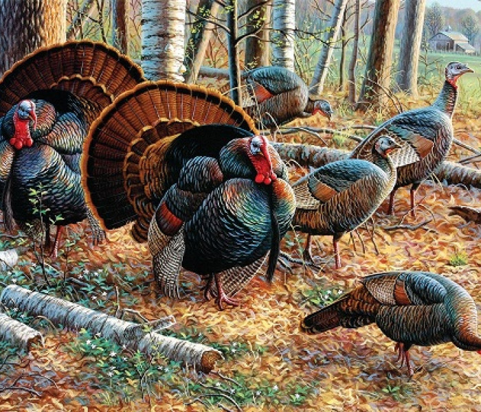 Puzzle - Sunsout - Tacchini